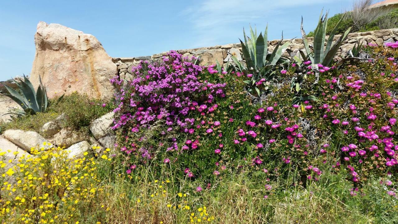 Casa Vacanze Della Maddalena מראה חיצוני תמונה